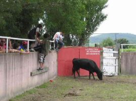 2010-06-12_094.jpg