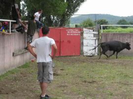 2010-06-12_095.jpg