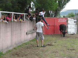 2010-06-12_096.jpg