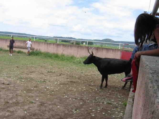2010-06-12_097.jpg