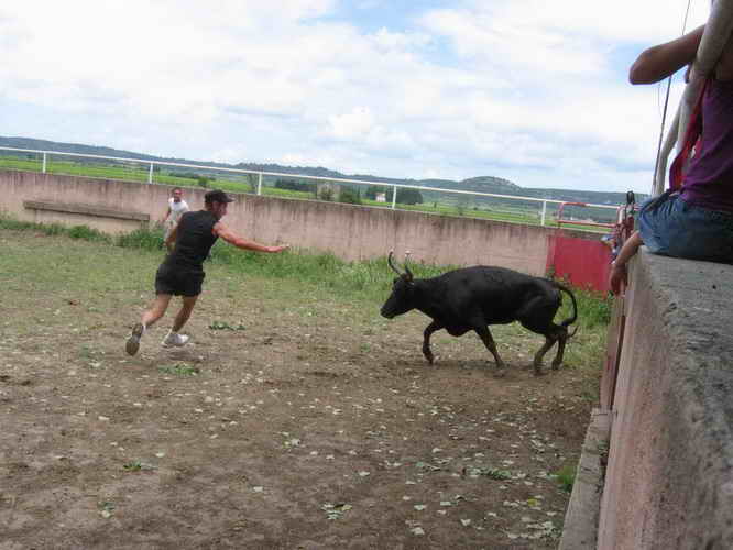 2010-06-12_098.jpg