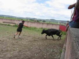 2010-06-12_098.jpg
