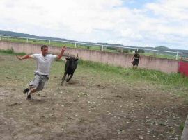 2010-06-12_099.jpg