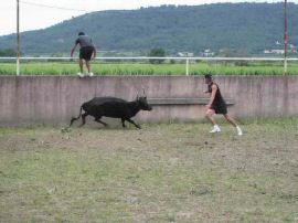 2010-06-12_100.jpg