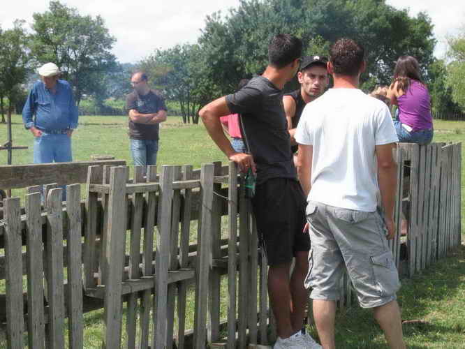 2010-06-12_031.jpg