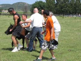 2010-06-12_035.jpg