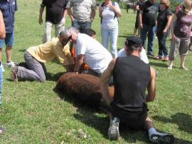 2010-06-12_037.jpg