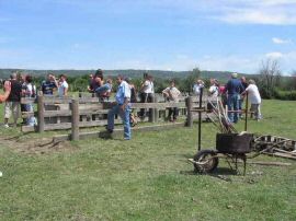 2010-06-12_046.jpg