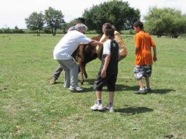 2010-06-12_057.jpg