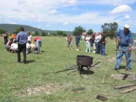 2010-06-12_067.jpg
