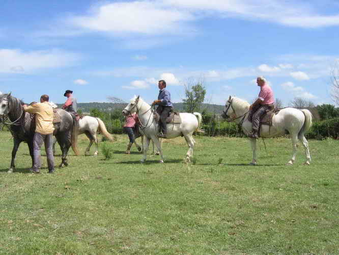 2010-06-12_070.jpg