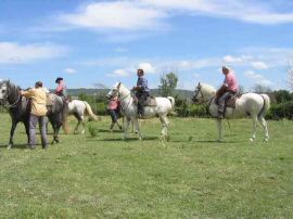 2010-06-12_070.jpg