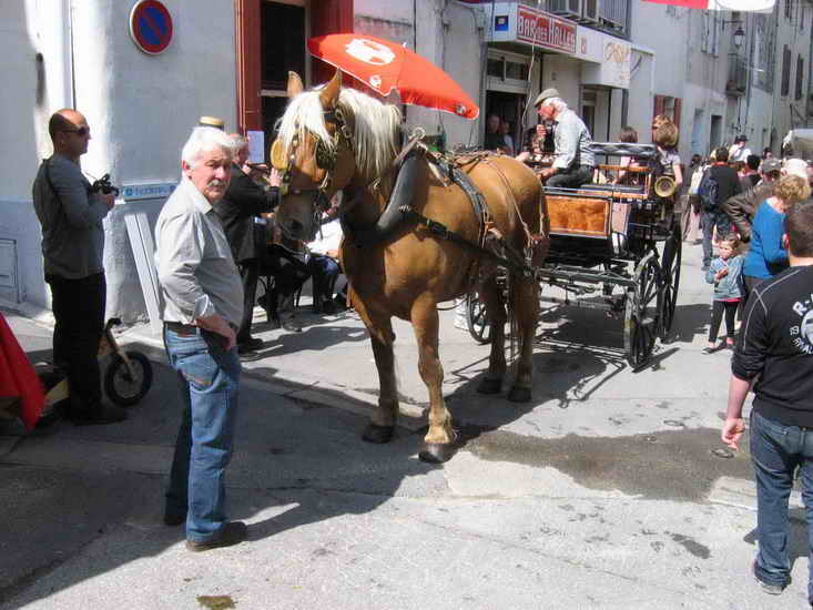 ecuries_177.jpg