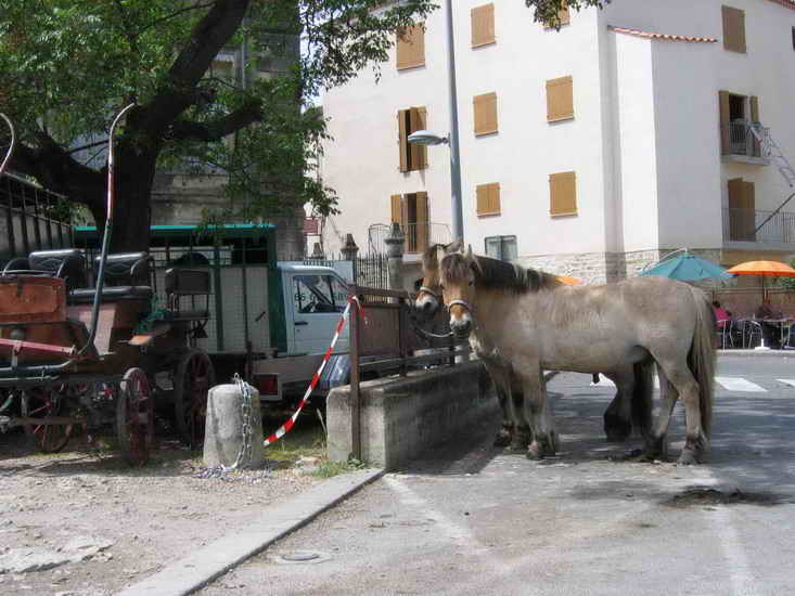 ecuries_211.jpg