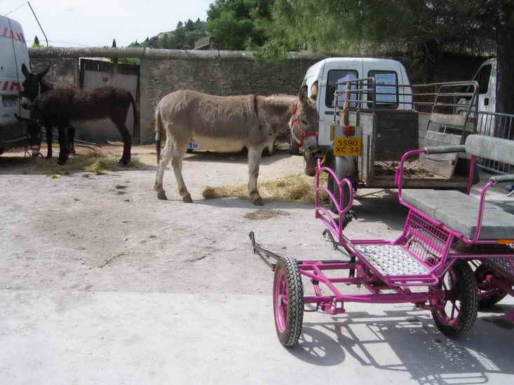 ecuries_213.jpg
