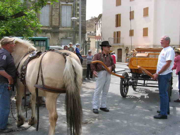 ecuries_257.jpg