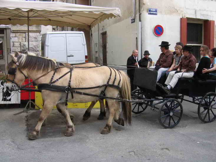ecuries_284.jpg