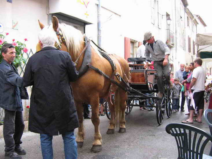 ecuries_353.jpg