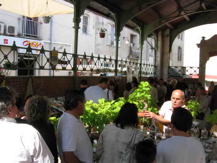 ecuries_135.jpg