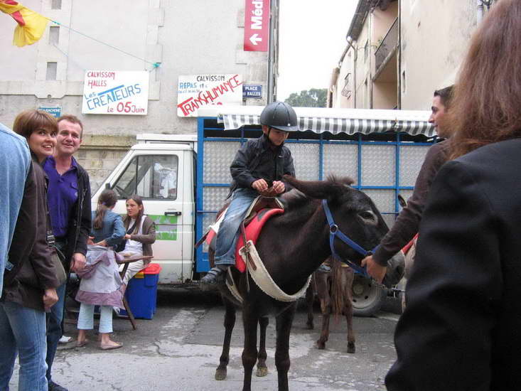 06.jpg