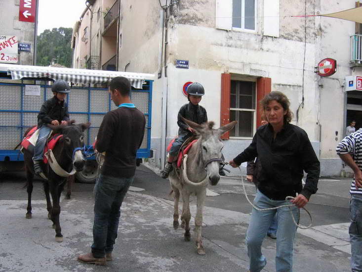 08.jpg