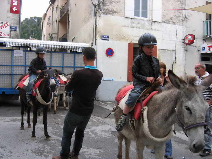 09.jpg
