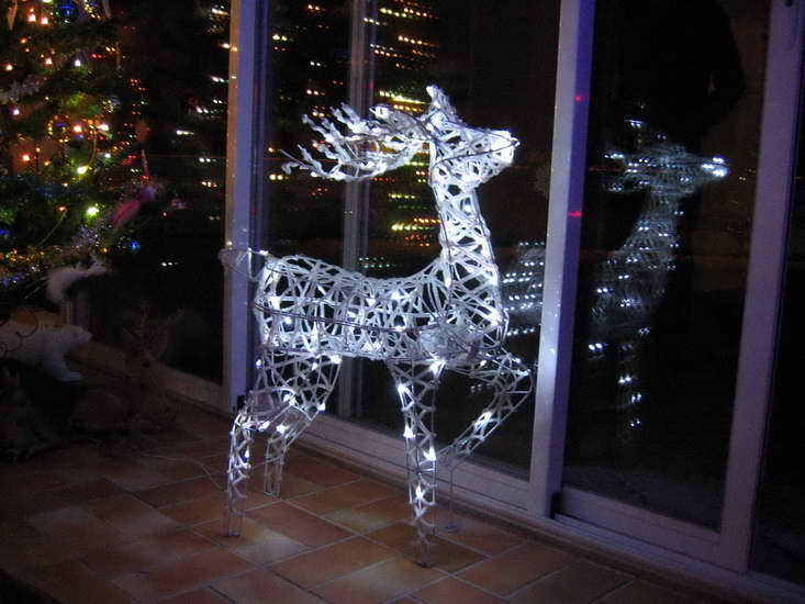 P12.jpg