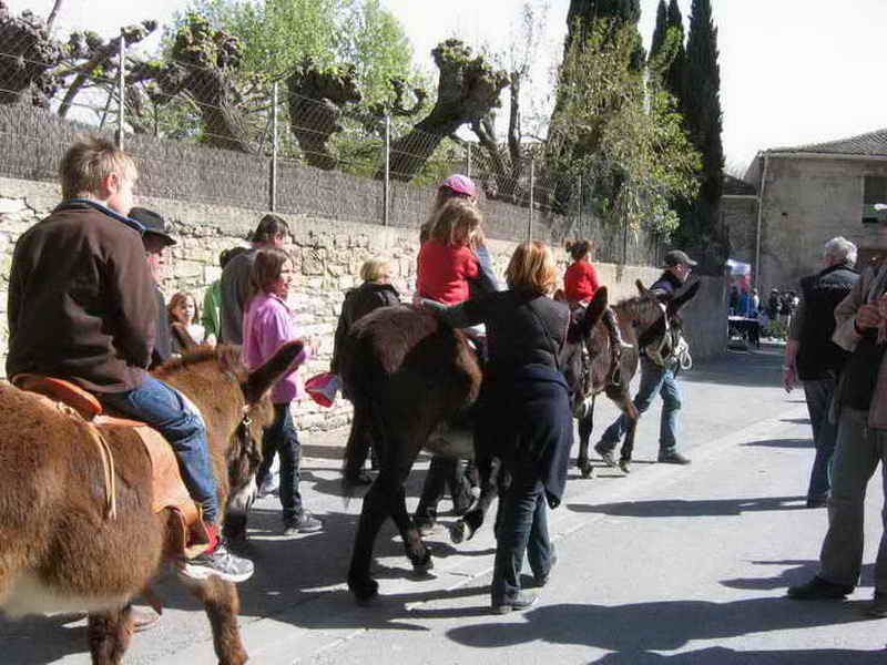 102.jpg