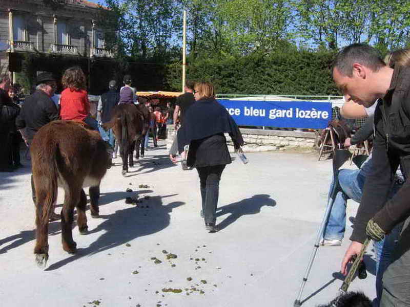 104.jpg
