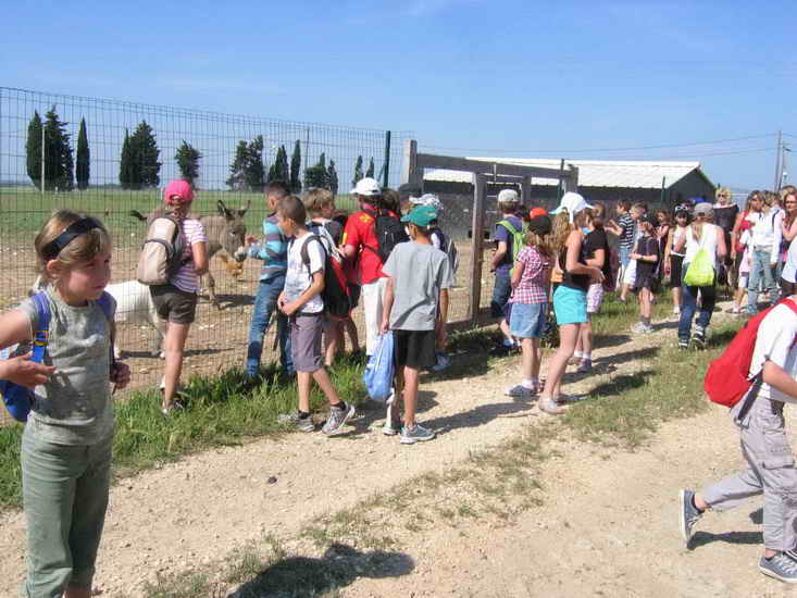 ferme_006.jpg