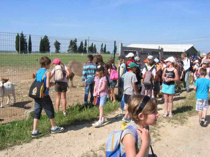 ferme_007.jpg