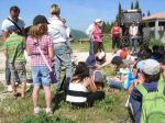 ferme_019.jpg