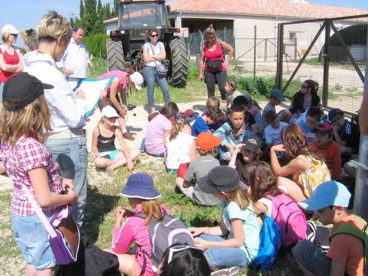 ferme_029.jpg
