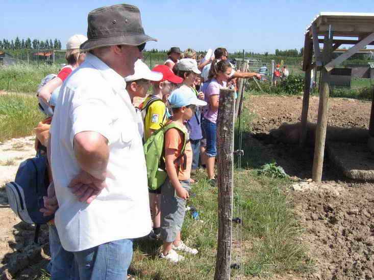 ferme_031.jpg