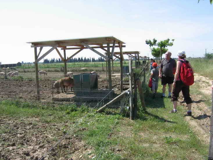 ferme_033.jpg