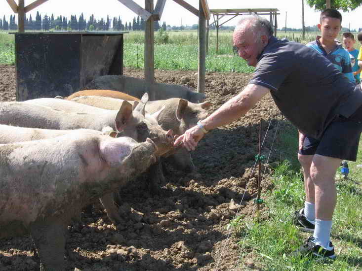 ferme_035.jpg