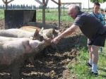ferme_035.jpg