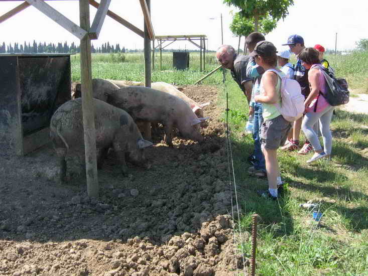 ferme_036.jpg