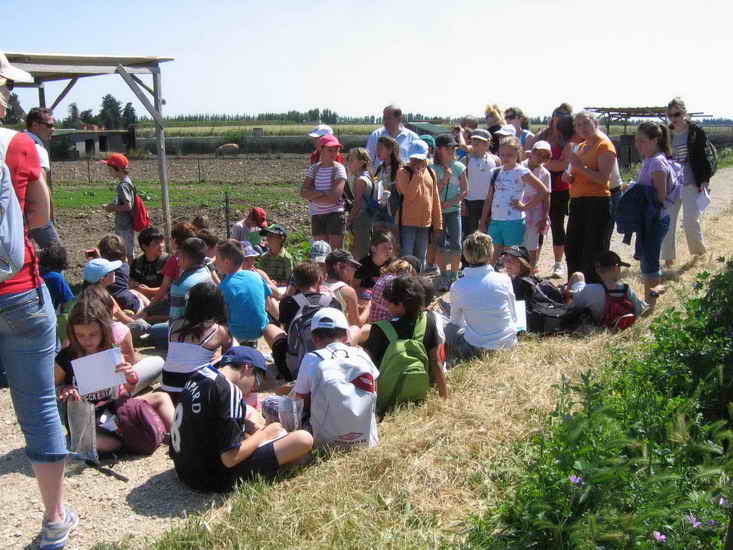 ferme_040.jpg