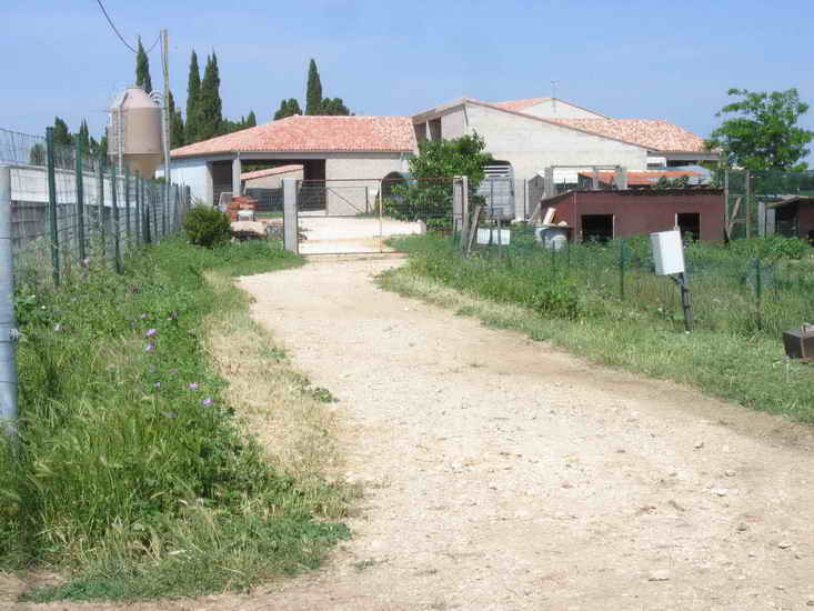 ferme_042.jpg
