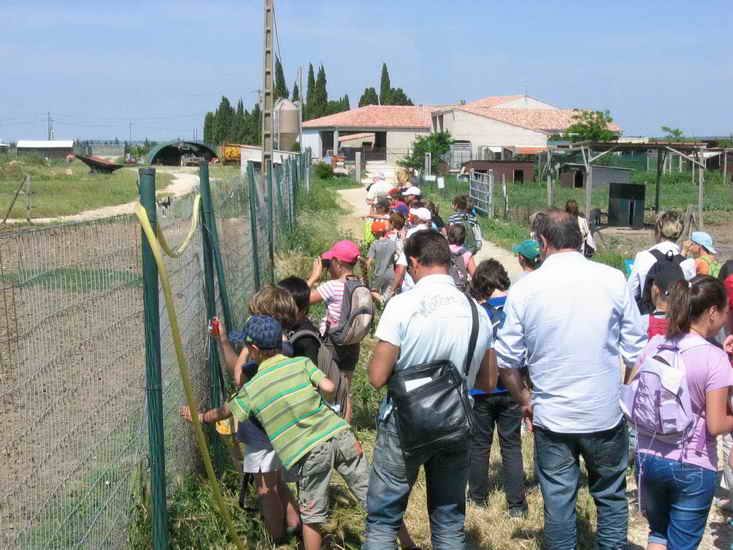 ferme_045.jpg