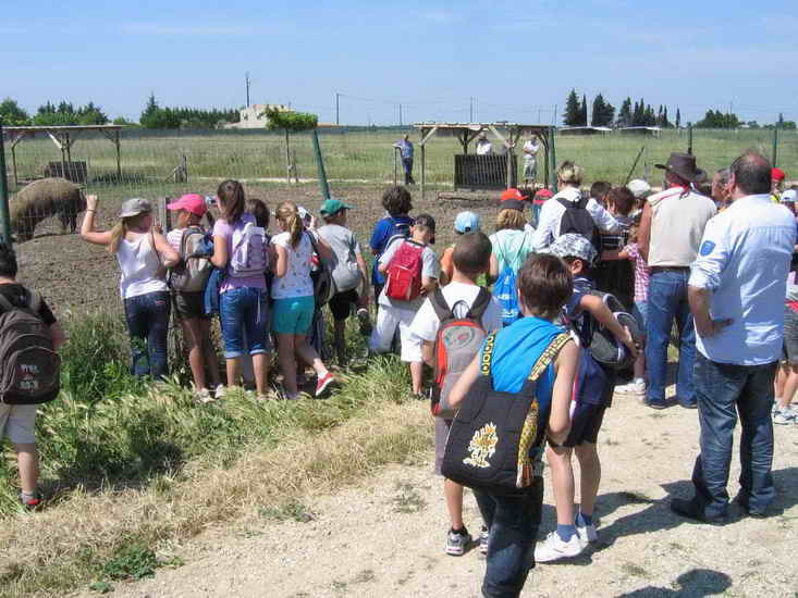 ferme_046.jpg