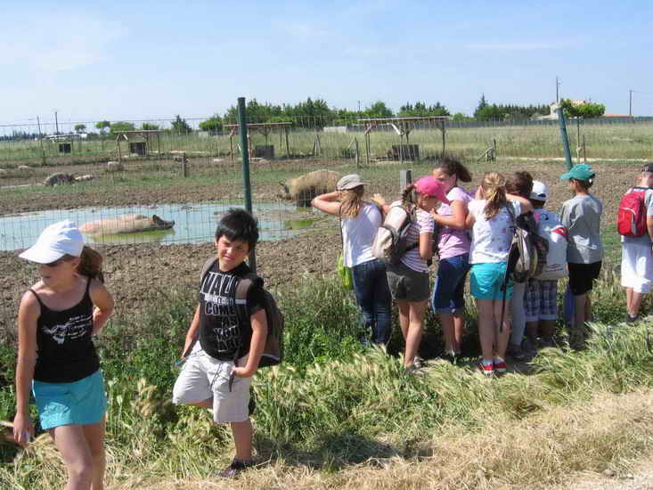 ferme_047.jpg