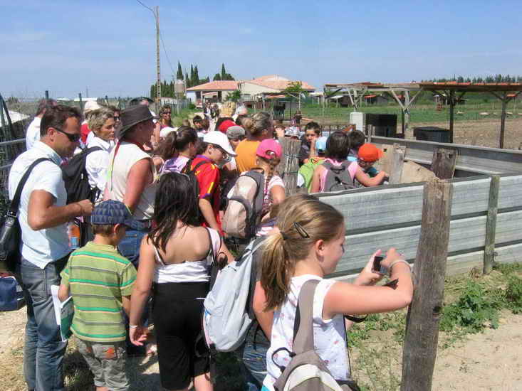 ferme_049.jpg