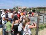 ferme_049.jpg