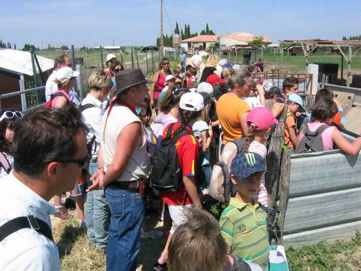 ferme_050.jpg