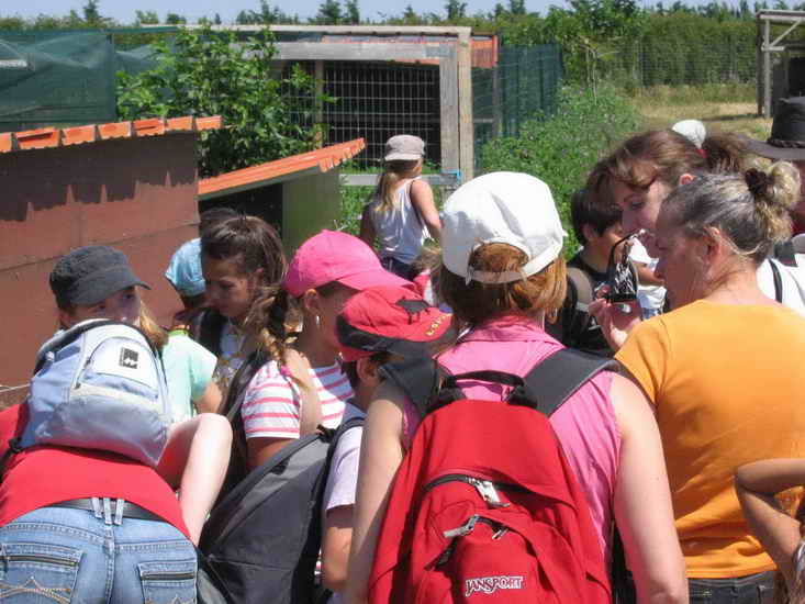 ferme_052.jpg