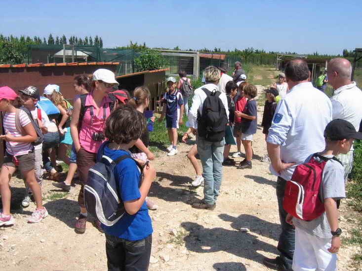 ferme_053.jpg