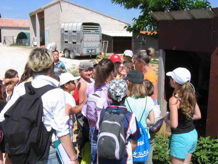 ferme_054.jpg