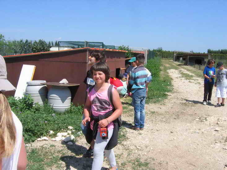 ferme_067.jpg